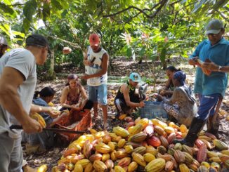 Foto: Divulgação | Startup destaca o protagonismo da agricultura familiar na crise climática