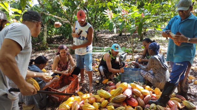 Foto: Divulgação | Startup destaca o protagonismo da agricultura familiar na crise climática