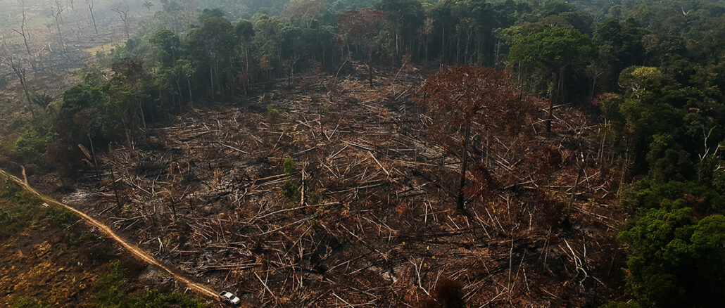 Foto: USP Imagens - Bruno Kelly/Amazônia Real via Flickr | O que explica parte dessas queimadas são as secas intensas na região da Amazônia desde o ano passado