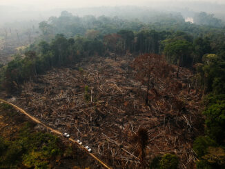 Foto: USP Imagens - Bruno Kelly/Amazônia Real via Flickr | O que explica parte dessas queimadas são as secas intensas na região da Amazônia desde o ano passado