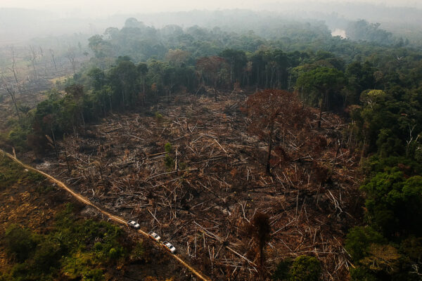 Foto: USP Imagens - Bruno Kelly/Amazônia Real via Flickr | O que explica parte dessas queimadas são as secas intensas na região da Amazônia desde o ano passado