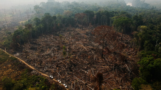 Foto: USP Imagens - Bruno Kelly/Amazônia Real via Flickr | O que explica parte dessas queimadas são as secas intensas na região da Amazônia desde o ano passado