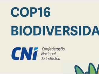 Imagem: Divulgação | COP16: CNI apresenta recomendações para 7 temas prioritários à biodiversidade