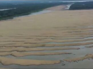 Foto: Divulgação | Seca na Bacia do Amazonas afeta cadeias mundiais de abastecimento e fluxo de transporte global