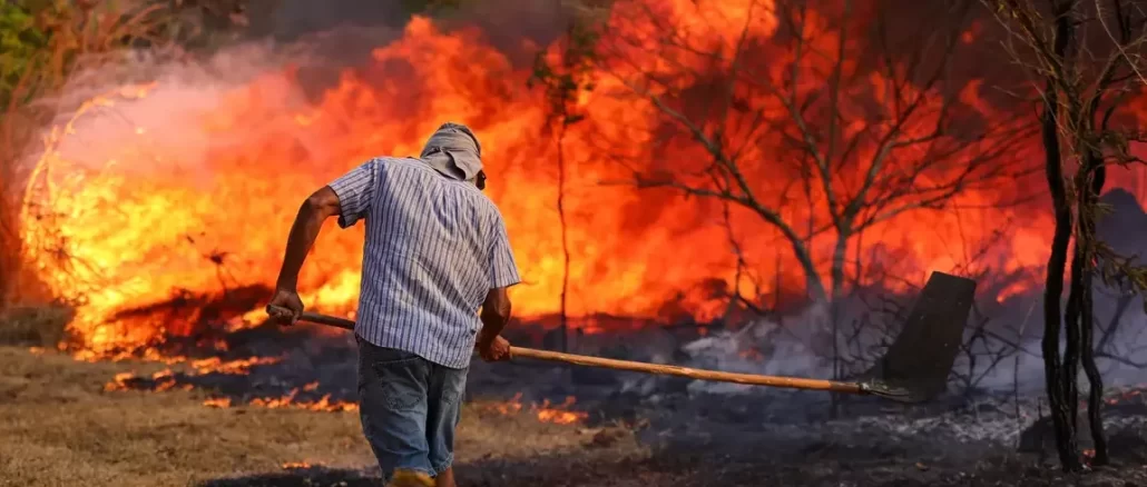 Foto: Fabio Rodrigues-Pozzebom/Agência Brasil | Homem tenta combater queimada: incêndios já atingem 58% do país, segundo o Ministério do Meio Ambiente