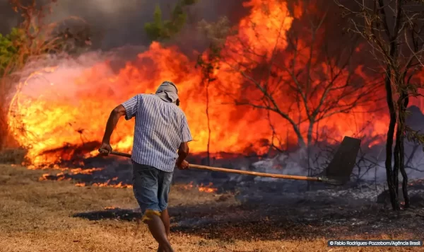 Foto: Fabio Rodrigues-Pozzebom/Agência Brasil | Homem tenta combater queimada: incêndios já atingem 58% do país, segundo o Ministério do Meio Ambiente