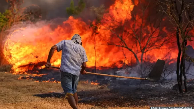 Foto: Fabio Rodrigues-Pozzebom/Agência Brasil | Homem tenta combater queimada: incêndios já atingem 58% do país, segundo o Ministério do Meio Ambiente