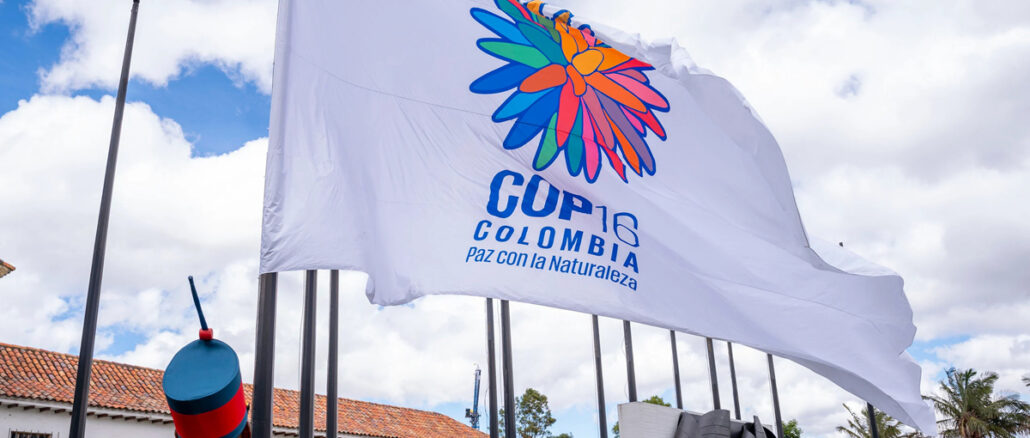 Foto: Cesar Carrion/Presidência da Colômbia - COP16