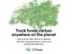 CTrees | Track forest carbon anywhere on the planet