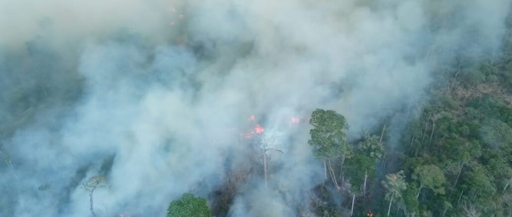 Foto: Divulgação | Cerrado em chamas