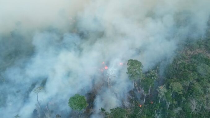 Foto: Divulgação | Cerrado em chamas