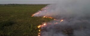 Um dossiê dos incêndios e desmatamentos