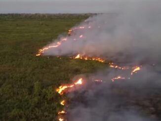 Reprodução: Incêndio na Amazônia