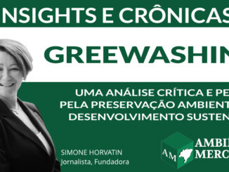 COLUNA INSIGHTS E CRÔNICAS | SIMONE NORVATIN | AMBIENTAL MERCANTIL