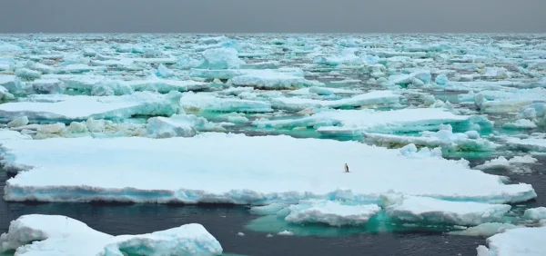 Foto: Cesar Rodrigo dos Santos | Registro mostra degelo na Antártica