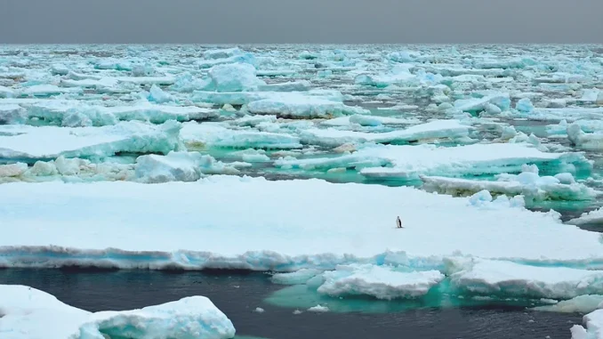 Foto: Cesar Rodrigo dos Santos | Registro mostra degelo na Antártica