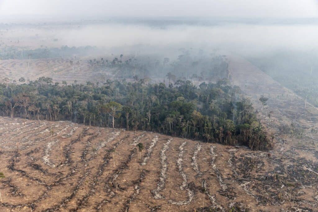 Foto: Marizilda Cruppe/Greenpeace