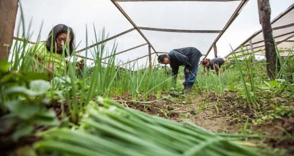 Foto: Secom | O pacote de leis estratégicas visa fortalecer agricultura familiar, modernizar o setor agrícola e estimular a economia local