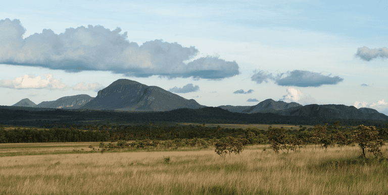 Foto: Rui Faquini/ICMBio | Parque Nacional Chapada dos Veadeiros