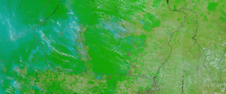 Imagem: Fonte: NASA; Créditos: Rebecca Maranhão/IPAM | Área queimada em setembro de 2024, mês com mais focos em florestas públicas não destinadas