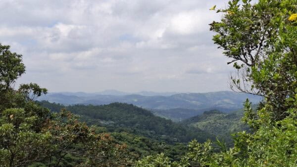 Foto: Lançamento da 3ª etapa do "Projeto Olhos da Serra" Olhos da Serra" marcou a entrada em funcionamento do Pantera. A expectativa é aumentar a segurança para a preservação da Serra, uma das áreas remanescentes de Mata Atlântica no interior de São Paulo Foto: Lançamento da 3ª etapa do "Projeto Olhos da Serra" funcionamento do Pantera. A expectativa é aumentar a segurança para a preservação da Serra, uma das áreas remanescentes de Mata Atlântica no interior de São Paulo