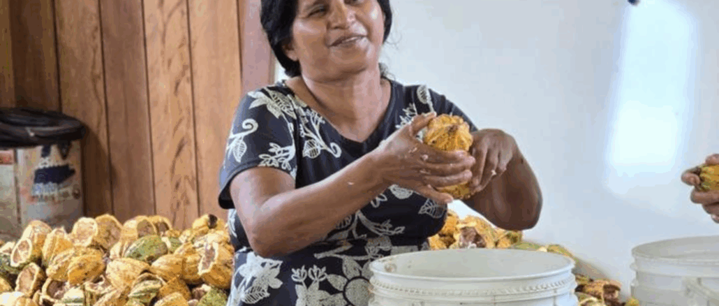Foto: Acervo SOS Amazônia