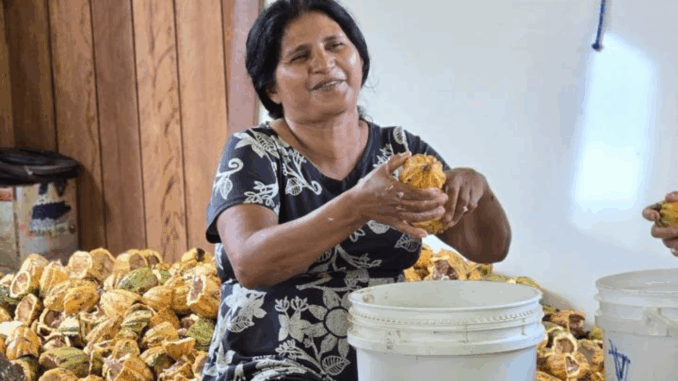 Foto: Acervo SOS Amazônia