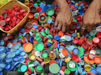 Foto: Divulgação | Reciclagem