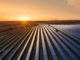Foto: Divulgação | Atlas Renewable Energy