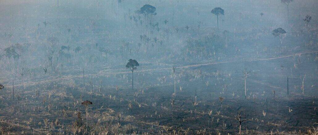Foto: Greenpeace | Amazônia