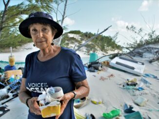 Foto: Divulgação | Heloisa Schurmann