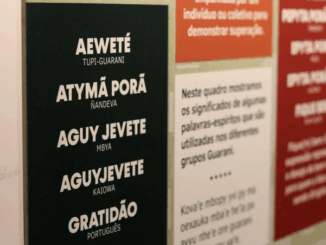 Palavras em Guarani na exposição "Hendu Porã'rã, escutar com o corpo", em cartaz no MCI. Foto: Gabie Pereira/Acervo MCI