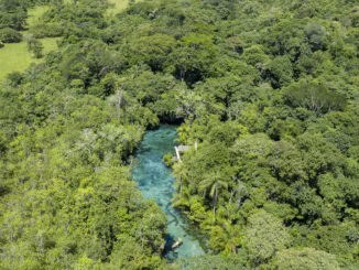 Nascente Azul / Flávio André de Souza