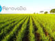 Foto: Divulgação / Renovabio