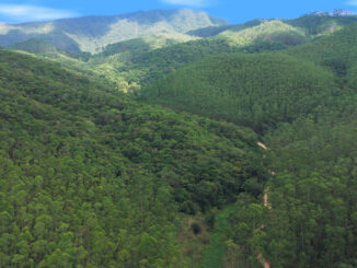 Atlântica Cama e Banho | Foto: Divulgação