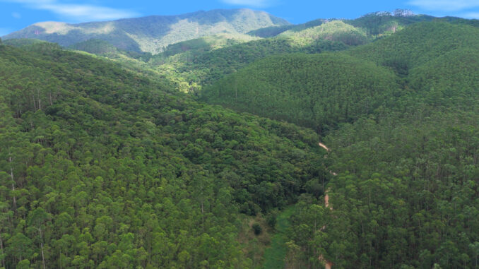 Atlântica Cama e Banho | Foto: Divulgação