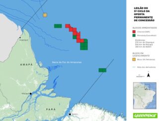 Localização dos blocos arrematados por petroleiras em junho, em leilão realizado pela ANP. Imagem: Greenpeace Brasil
