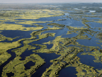 Até 2023, 59% da paisagem já foi modificada pelas atividades humanas e 67% das pastagens estavam degradadas. Imagem: André Dib/WWF-Brasil