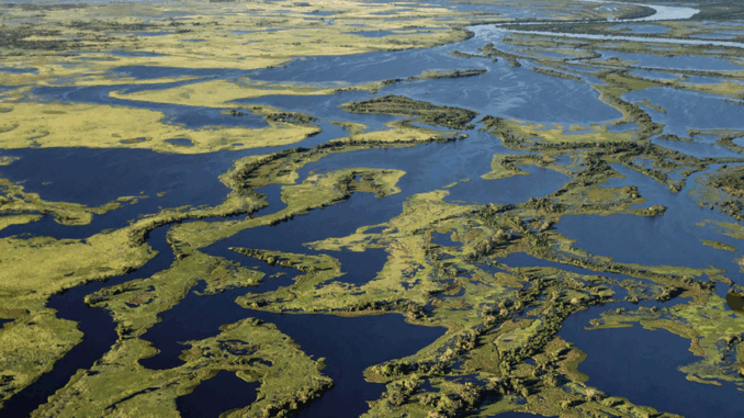 Até 2023, 59% da paisagem já foi modificada pelas atividades humanas e 67% das pastagens estavam degradadas. Imagem: André Dib/WWF-Brasil Até 2023, 59% da paisagem já foi modificada pelas atividades humanas e 67% das pastagens estavam degradadas. Imagem: André Dib/WWF-Brasil