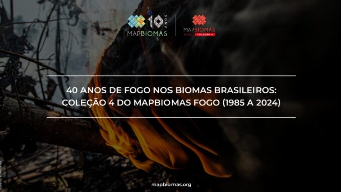 Foto: Divulgação | Mapbiomas Fogo Incendio Florestal Foto: Divulgação | Mapbiomas Fogo Incendio Florestal
