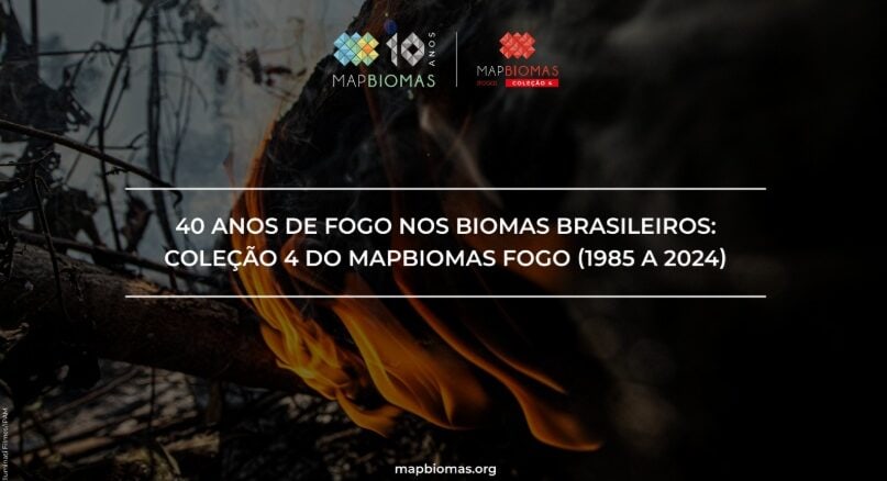 Foto: Divulgação | Mapbiomas Fogo Incendio Florestal