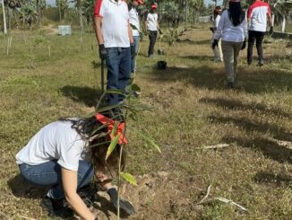 Entre 2021 e 2024, a Aeris promoveu o plantio médio de 30,9 mil mudas nativas da Caatinga. Foto: Divulgação