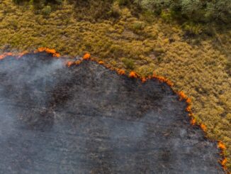 Foto: Divulgação | GettyImages