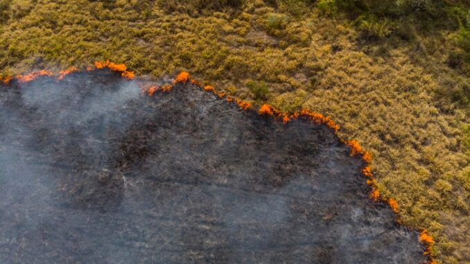 Foto: Divulgação | GettyImages