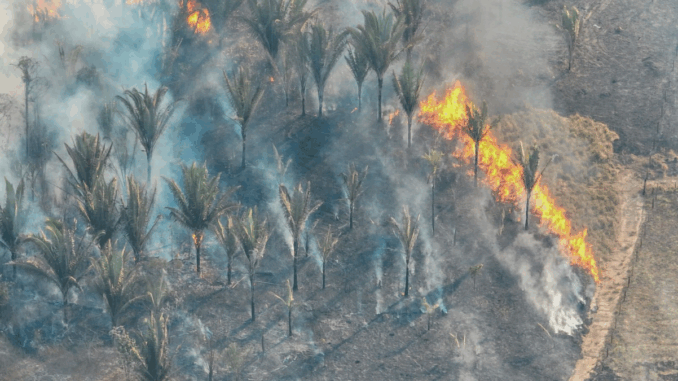Clima seco e os ventos ajudam na propagação das chamas. (Foto: Divulgação | Secom PVH) Clima seco e os ventos ajudam na propagação das chamas. (Foto: Divulgação | Secom PVH)