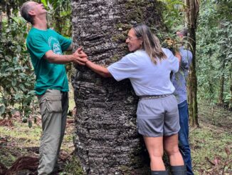 Paraná ganha Reserva Natural do Alpinista, em homenagem a Waldemar Niclevicz | Foto: Divulgação / Pedro Menck/IAT