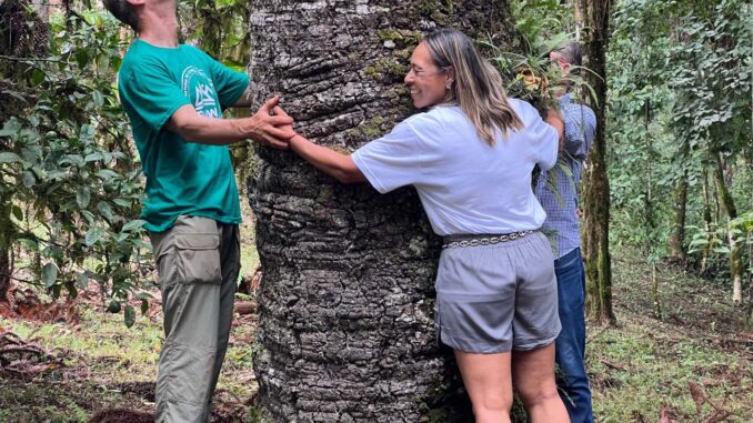 Paraná ganha Reserva Natural do Alpinista, em homenagem a Waldemar Niclevicz | Foto: Divulgação / Pedro Menck/IAT Paraná ganha Reserva Natural do Alpinista, em homenagem a Waldemar Niclevicz | Foto: Divulgação / Pedro Menck/IAT